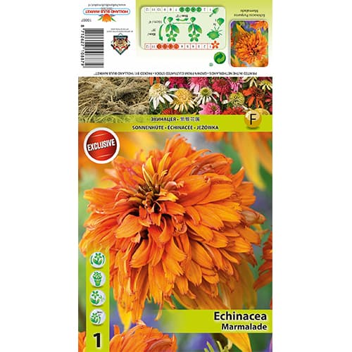 Jeżówka Marmalade interface.image 1 interface.art 77832