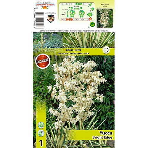 Juka Bright Edge interface.image 1 interface.art 70456