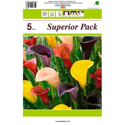 Kalla Mixed interface.image 1 interface.art 76396