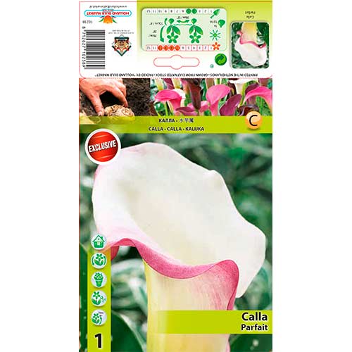 Kalla Parfait interface.image 1 interface.art 76195