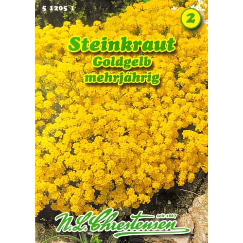 Kalnu alises interface.image 1 interface.art 78969