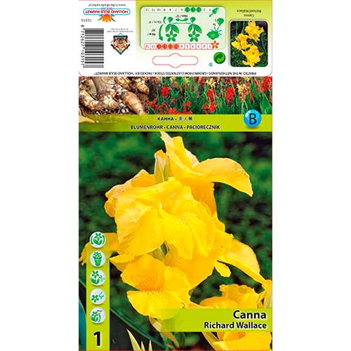 Kanna Richard Wallace interface.image 1 interface.art 70366