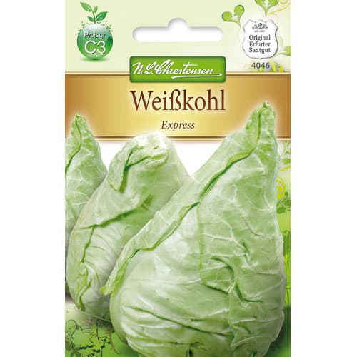 Kāposti Express interface.image 1 interface.art 78726