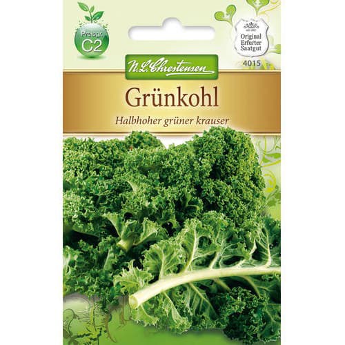 Kāposti Halbhoher gruner Krauser interface.image 1 interface.art 78716