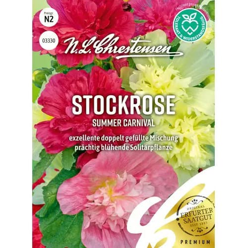 Kāršrozes Summer Carnival interface.image 1 interface.art 96454