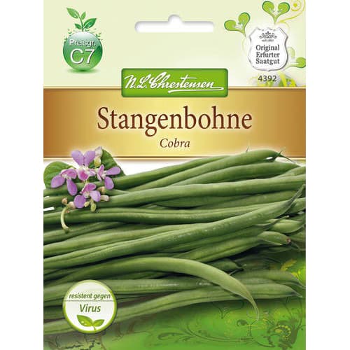 Kāršu pupiņas Cobra interface.image 1 interface.art 78833