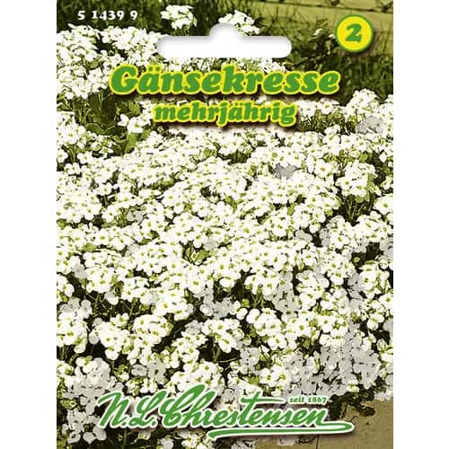 Kaukāza arābes Chrestensen interface.image 1 interface.art 96402