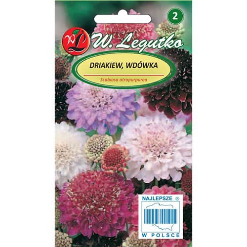 Kaukāziešu saldo kartupeļu hibrīds interface.image 1 interface.art 87856