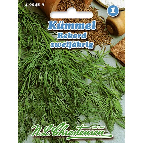 Ķimeņu sēklas Rekord interface.image 1 interface.art 86008