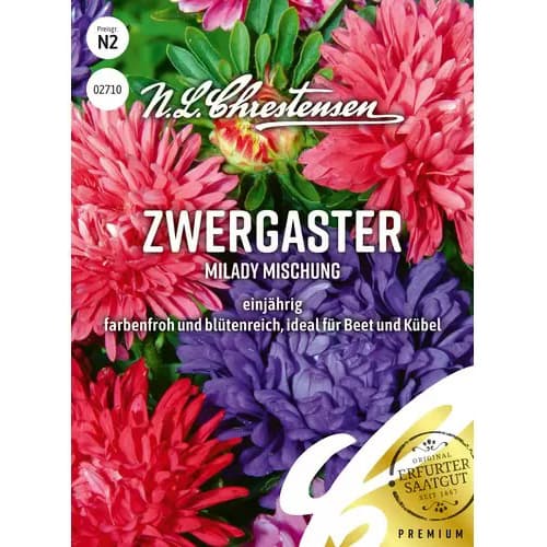 Ķīnas astere MiLady, maisījums interface.image 1 interface.art 87825