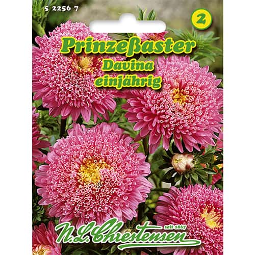 Ķīnas asteres Davina interface.image 1 interface.art 86138