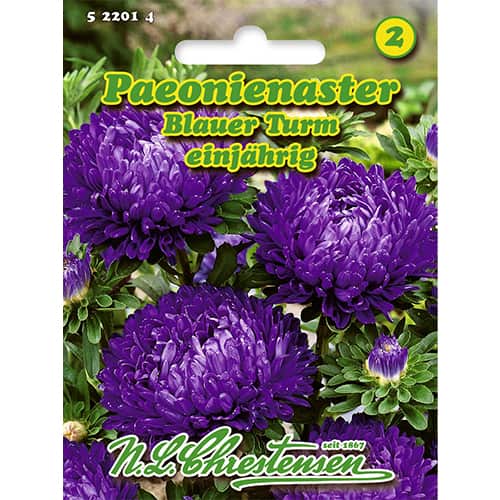 Ķīnas asteres (peonijveida) Blauer Turm interface.image 1 interface.art 86134