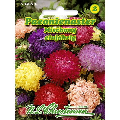 Ķīnas asteres (peonijveida), maisījums interface.image 1 interface.art 86135