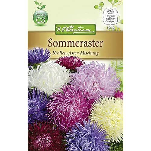 Ķīnas asteres, pundurasteru maisījums interface.image 1 interface.art 87804