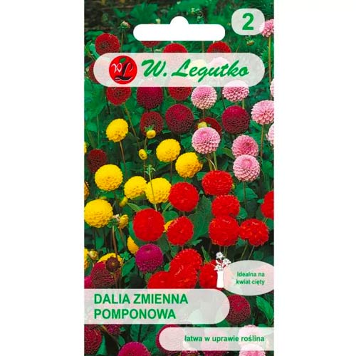 Ķīnas asteres,maisījums Legutko interface.image 1 interface.art 50091