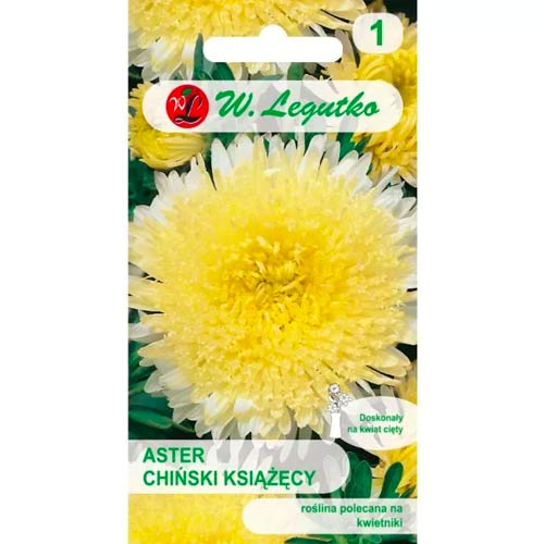 Ķīniešu adatu asteres dzeltens Legutko interface.image 1 interface.art 78513