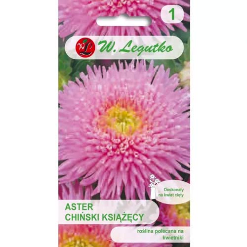 Ķīniešu adatu asteres rozā Legutko interface.image 1 interface.art 78515