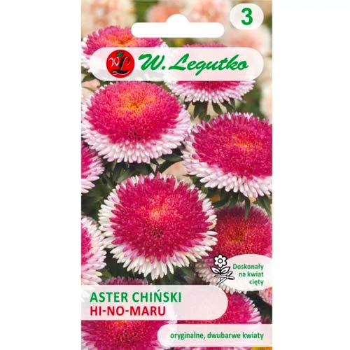 Ķīniešu asteres Liliput Hi-no-Maru Legutko interface.image 1 interface.art 69562