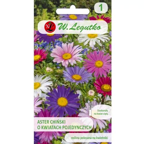 Ķīniešu asteres Madeleine, jaukt Legutko interface.image 1 interface.art 96693