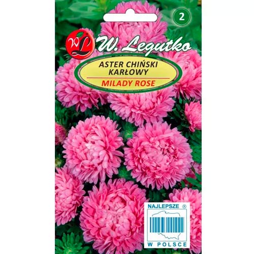 Ķīniešu asteres Milady Rose Legutko interface.image 1 interface.art 69558