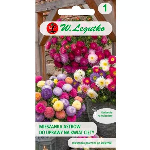 Ķīniešu asteres skintai gėlei, jaukt Legutko interface.image 1 interface.art 50083