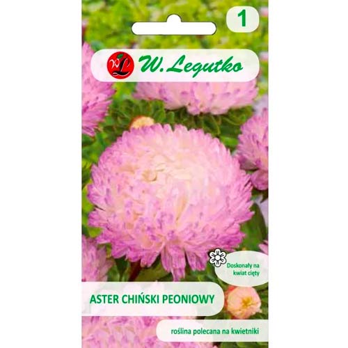 Ķīniešu peonijas balti-rozā Legutko interface.image 1 interface.art 78523