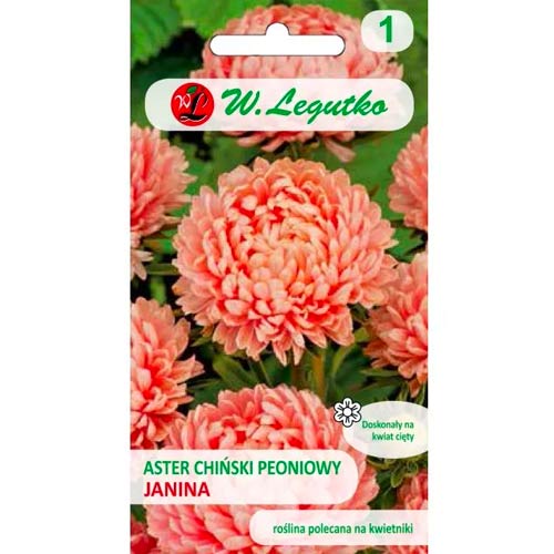 Ķīniešu peonijas Janina laši Legutko interface.image 1 interface.art 78522