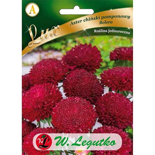 Ķīniešu pomponu astera Bolero - sarkana interface.image 1 interface.art 86744