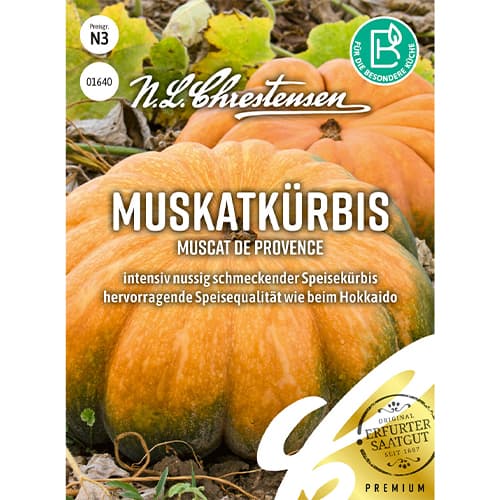 Ķirbji Muscat de Provence Chrestensen interface.image 1 interface.art 86071