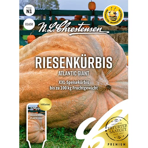 Ķirbji Riesenkürbis Atlantic Giant interface.image 1 interface.art 87848
