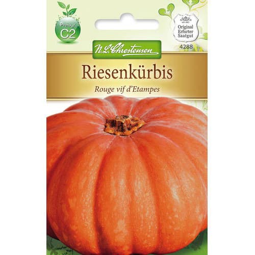 Ķirbji Rouge vif d´Etampes interface.image 1 interface.art 78797