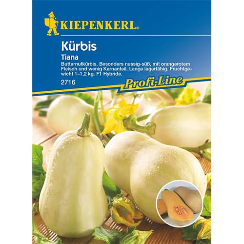 Ķirbji Tiana F1 interface.image 1 interface.art 87282