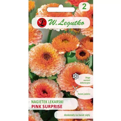 Kliņģerītes Pink Surprise Legutko interface.image 1 interface.art 78582