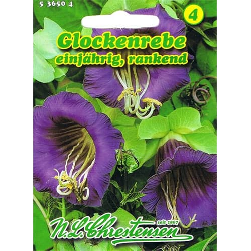 Kobejas Chrestensen interface.image 1 interface.art 78982