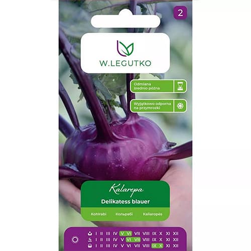 Kolrābis Delikatess blauer interface.image 1 interface.art 78471