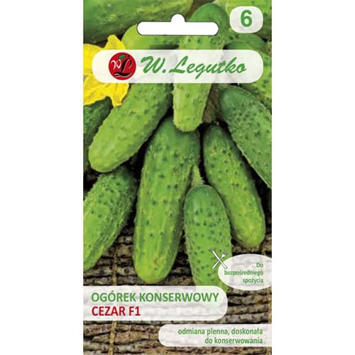 Konservēšanas gurķis Caesar F1 interface.image 1 interface.art 86874