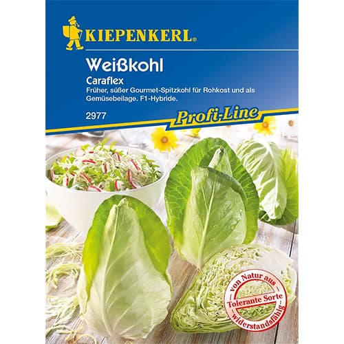 Konusveida kāposti Caraflex interface.image 1 interface.art 86536