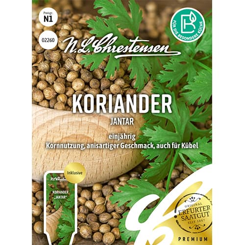 Koriandrs Jantar interface.image 1 interface.art 87843