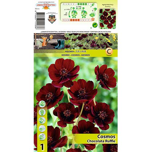 Kosmeja Chocolate Ruffle interface.image 1 interface.art 70368