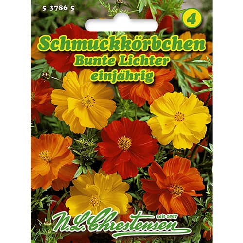 Kosmejas Bunte Lichter interface.image 1 interface.art 86143