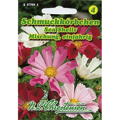 Kosmejas Sea Shells Mischung interface.image 1 interface.art 87805