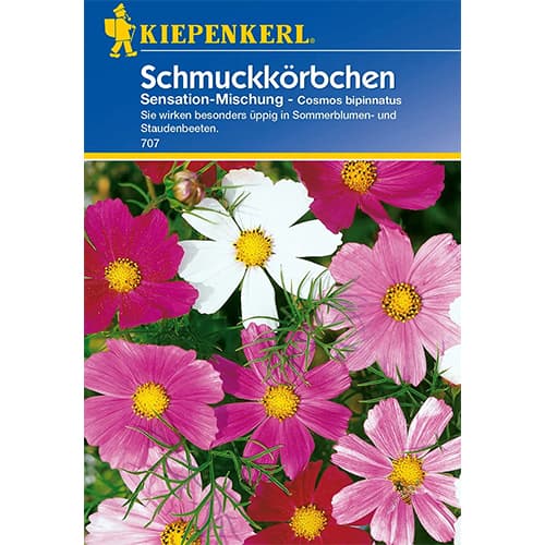 Kosmejas Sensation, maisījums Kiepenkerl interface.image 1 interface.art 77400