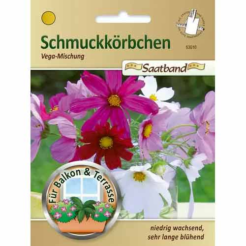 Kosmejas Vega, maisījums Chrestensen interface.image 1 interface.art 50027