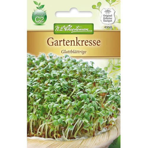 Kreses Glattblattrige interface.image 1 interface.art 78855