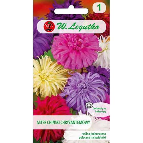 Krizantēmas krizantēmu maisījums interface.image 1 interface.art 78511