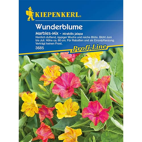 Krizantēmas Marbles interface.image 1 interface.art 87762