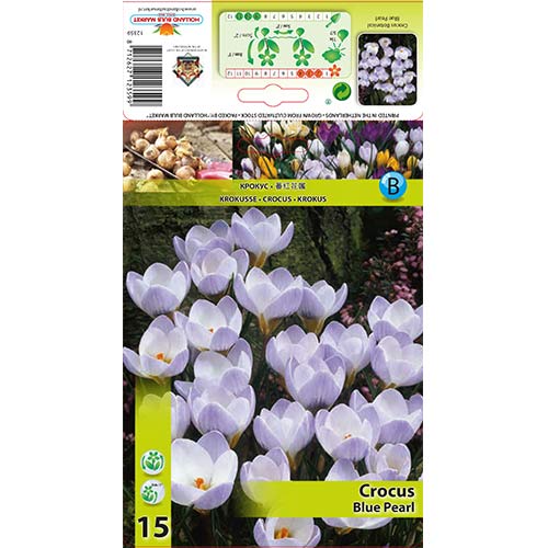 Krokusi Blue Pearl interface.image 1 interface.art 67327