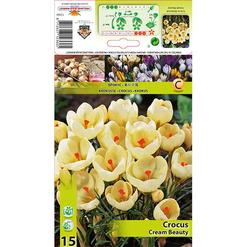 Krokusi Cream Beauty interface.image 1 interface.art 67328