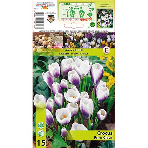 Krokusi Prins Claus interface.image 1 interface.art 67618