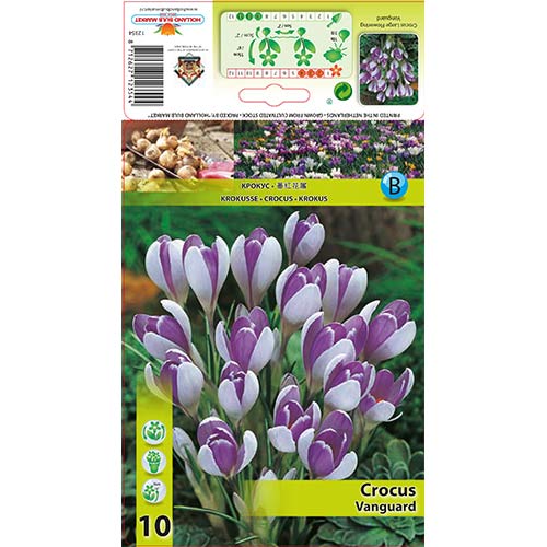 Krokusi Vanguard interface.image 1 interface.art 67343